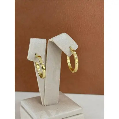 Brinco Banhado a Ouro