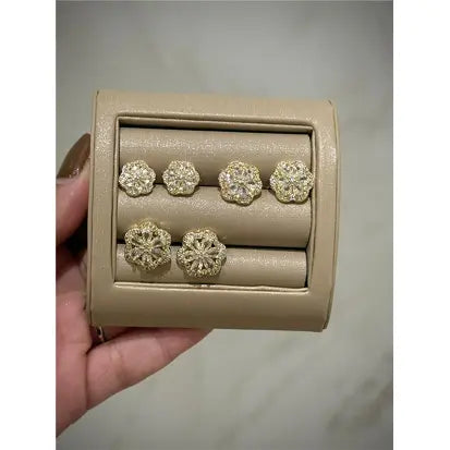 Conjunto de Brincos Linha Especial